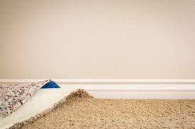 how to avoid growth of mold in carpet