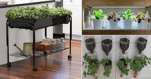 15 Indoor Vegetable Garden Ideas