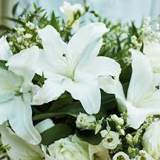 Buying sympathy flowers can be a daunting prospect. Sympathy Flowers From 19 99 Free Uk Delivery Serenata Flowers