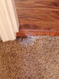carpet patching pacific northwest