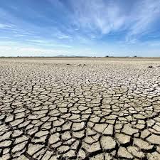 Image result for dehydration