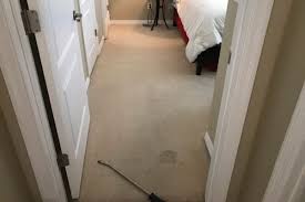 eco brite carpet cleaning services