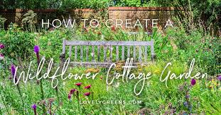 How To Grow A Wildflower Cottage Garden