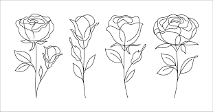 roses line art drawing decorative