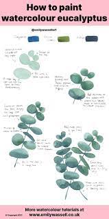 Paint Watercolour Eucalyptus Leaf