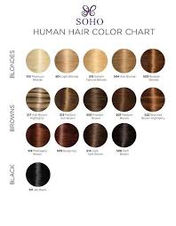 Soho Style Human Hair Extensions Color Chart In 2019