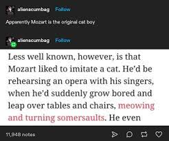 Mozart is the OG Catboy : r/tumblr