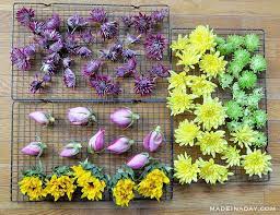 oven dried flowers for crafts