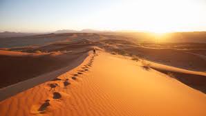 Image result for desert