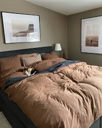decorate with brown in the bedroom