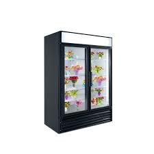 Gdm 49 2 Glass Door Fl Cooler