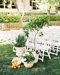 wedding into a secret garden