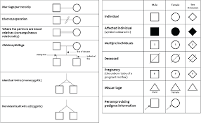 There Is A Set Of Agreed Symbols To Use When Drawing A