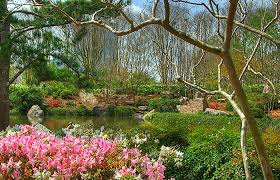 10 of the most beautiful gardens in texas