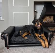 Faux Leather Dog Sofa Bed