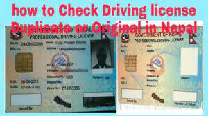 driving licence original or duplicate
