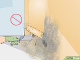 10 Ways To Remove Mold And Mildew Wikihow