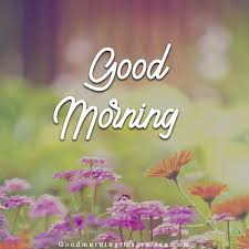 ख बस रत फ ल पर क छ अनम स दर good morning image in hindi 300 quotes pictures photo 50 romantic shayari best love quotes ferns 800 shandar good morning images in hindi. 85 Beautiful Good Morning Images With Flowers To Wish In Morning