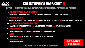 calisthenics workouts guide to