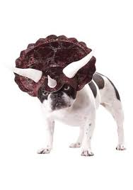 dog costumes and pet halloween costumes