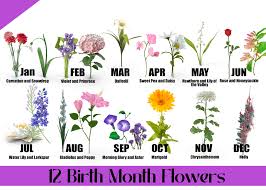 12 birth month flowers their meanings