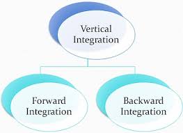Difference Between Horizontal And Vertical Integration With Example