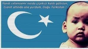 Gün geçtikçe bu konu benim canımı sıkıyor. Kampanya Dogu Turkistan Daki Cin Zulmune Dur De Change Org