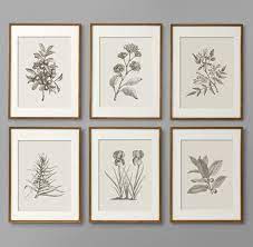 Botanical Prints Botanical Print Set
