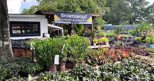 Brownswood Nursery Largest Retail And