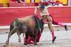 Colombian Bullfighter Luis Bolivar Gets Gored - Foto de stock de contenido  editorial: imagen de stock | Shutterstock Editorial