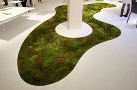 grow a living moss carpet in your home