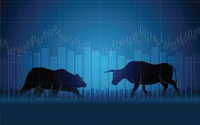 bear vs bull market investment