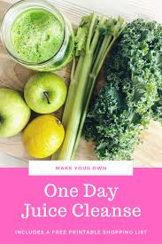 Prepare your own exotic milk easily at home. Make Your Own One Day Juice Cleanse Ashley Lillis One Day Juice Cleanse Detox Juice Juice Cleanse Recipes