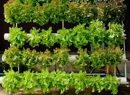 37 Best Vertical Gardening Ideas And