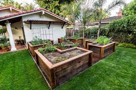 best wood for raised garden beds