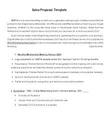 Essay Writing Service Or It Audit Report Example Template
