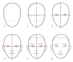 Free human face parts vector download in ai, svg, eps and cdr. Human Anatomy Fundamentals Basics Of The Face