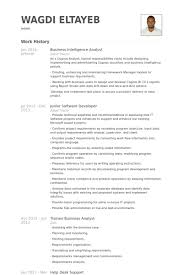 Download Resume Templates Business Intelligence Analyst Resume