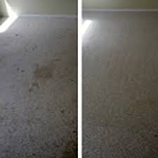 pet treatments beyer carpet cleaning