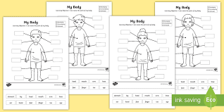 Back to 20 body parts worksheets for kindergarten. Male Female Body Diagram With Labels Body Parts Worksheet