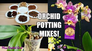 best potting mix for your orchid