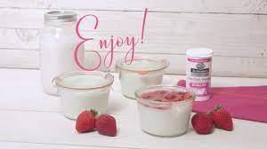 diy yogurt with probiotics you