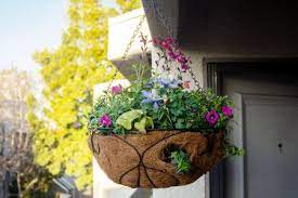 how to plant a hanging flower basket