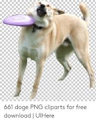 The exact dimension of this transparent background png is 1024x1024. 661 Doge Png Cliparts For Free Download Uihere Doge Meme On Me Me