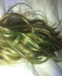 Fix your green hair using these tips. Pin By Poolheatpumps Com On Swimming Tips Tricks Chlorine Hair Chlorine Green Hair Green Hair Pool