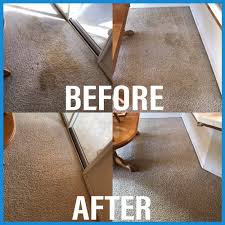 top 10 best carpet cleaning supplies in