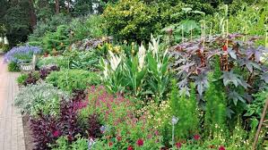 Perennial Planning Where To Plant For
