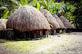 Selain itu, pembangunan rumah adat honai juga terdiri dari 3 tingkat. 620 Rumah Adat Papua Dan Gambarnya Terbaik Gambar Rumah