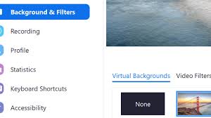 This extension allows you to apply effects like blur, pixelate and inverse to your camera live during google meets. Troubleshooting Zoom Virtual Background Issues Technipages