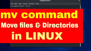 mv command to move directories in linux
